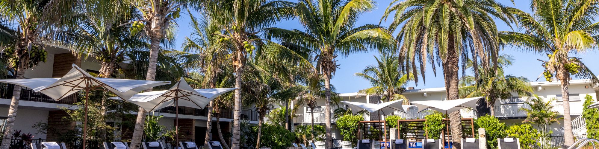 A luxurious outdoor pool surrounded by lounge chairs, umbrellas, and palm trees under a clear blue sky, creating a serene and inviting atmosphere.