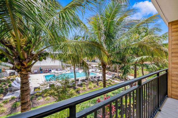 A patio view overlooks a lush pool area with palm trees, lounge chairs, and greenery, creating a serene tropical atmosphere under a vibrant blue sky.