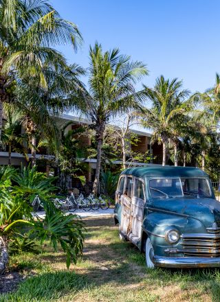 A vintage blue car is parked on a grassy area surrounded by lush palm trees and tropical vegetation, near a resort or hotel.