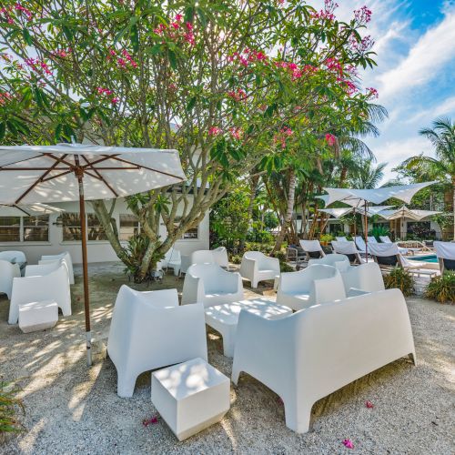 This image shows an outdoor seating area with white furniture, umbrellas, and lush greenery, alongside a swimming pool and palm trees under a blue sky.