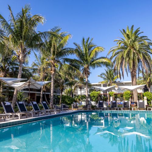 A serene outdoor pool area with sun loungers, umbrellas, and tall palm trees under a clear blue sky in a tropical setting.