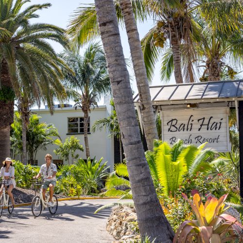 Two people are riding bicycles on a path surrounded by tropical plants and palm trees, with a sign reading 