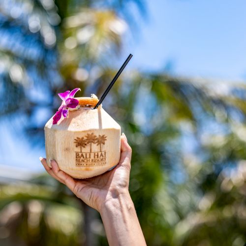 A hand holds a coconut drink with a straw, decorated with a flower and a logo, against a backdrop of palm trees and a clear sky.