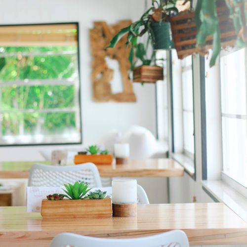 A bright and modern indoor seating area with white chairs, wooden tables, and green plants in planters. Large windows allow natural light to stream in.