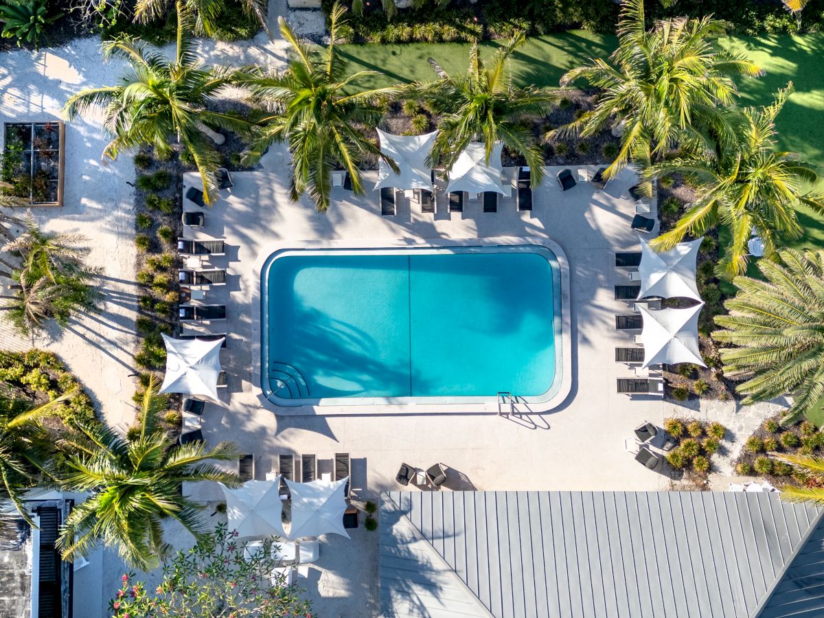 An aerial view of a swimming pool surrounded by lounge chairs, umbrellas, and palm trees, with pathways and greenery around it.